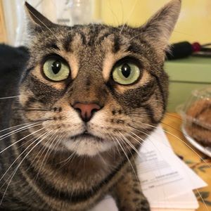 Meet your Posher, Denise